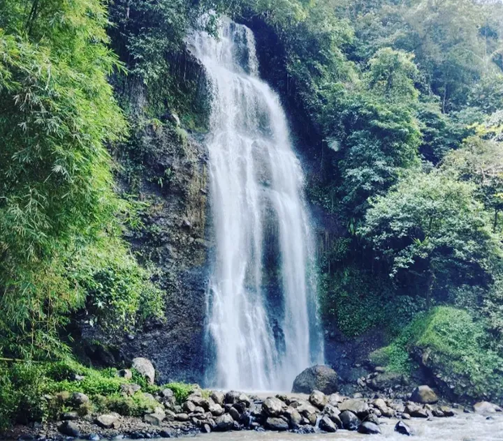 Misteri Air Terjun Tersembunyi di Cilacap: Rahasia Solo Traveler yang Tak Terungkap