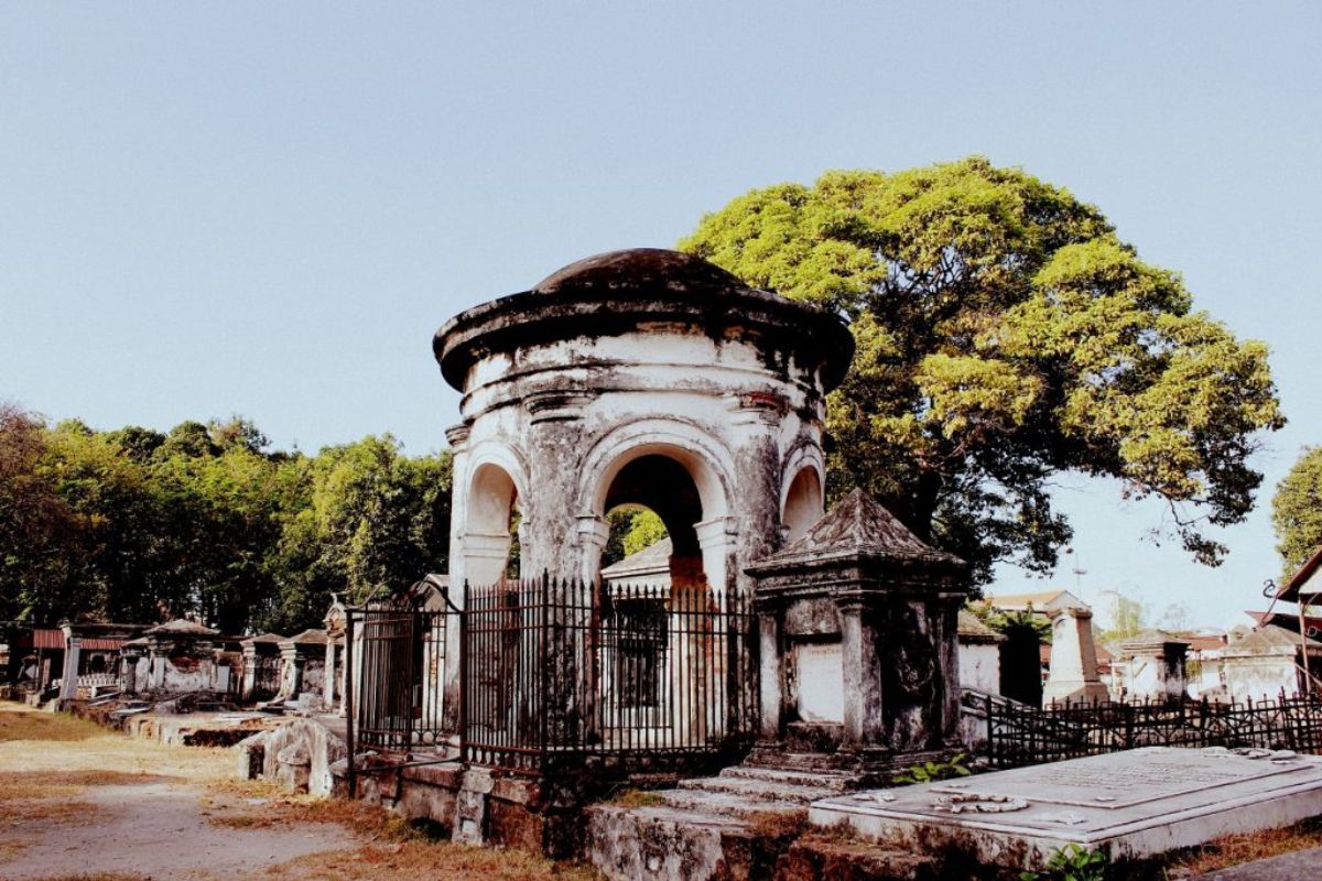 Secrets of the Garden That Captivates: Unforgettable Cilacap Getaway